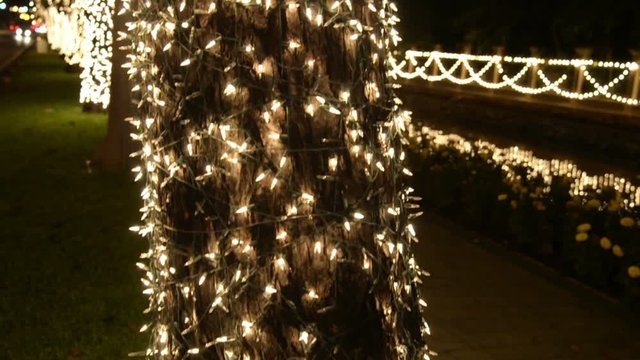 tree lights
