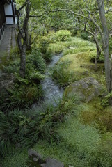 小川