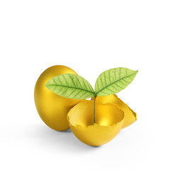 golden  easter egg isolated