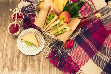 Photo sur Plexiglas Pique-nique Un pique-nique avec limonade, panier pique-nique, sandwichs, bananes, pommes, plaid