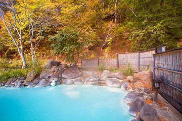 Japanese open air hot spring (onsen)