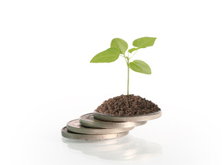 Coins graph stock market