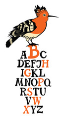 Birds collection Alphabet with Hoopoe bird