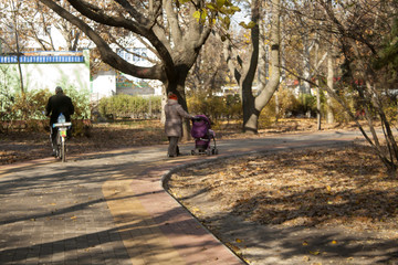 Woman with pram in autumn park