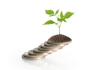 Coins graph stock market