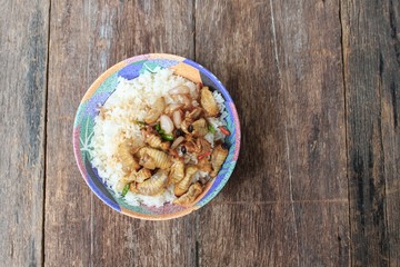 Sago beetle worm, Red palm weevil, Fried in cup rice(Rhynchophorus ferrugineus)