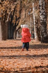 The little girl is in the autumn forest