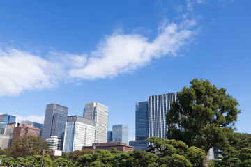 東京都市風景　丸の内　大手町　高層ビル群　緑　青空　コピースペース