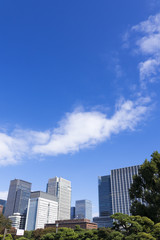 Obraz premium 東京都市風景 丸の内 大手町 高層ビル群 緑 青空 コピースペース