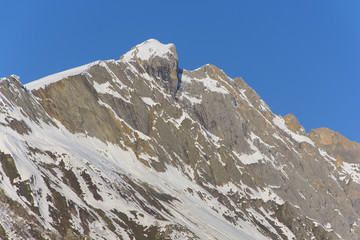 Snow Caped Peak of Himalayas