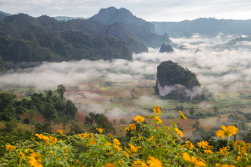 Fototapeta premium Morning fog on sunrise in the Phulanka, Phayao