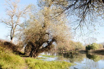 Autumn on a small lake