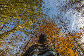 Nature hikers in the Seven Lakes
