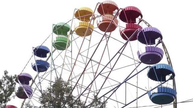 Wheel spinning in the park