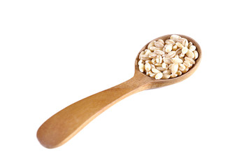 pearls barley grain seed on background