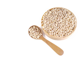 pearls barley grain seed on background