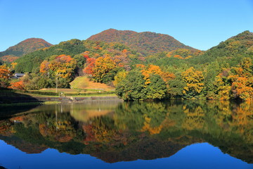 奈良　紅葉の二上山