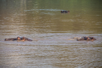 Fototapeta premium Mzkuze Falls - South Africa