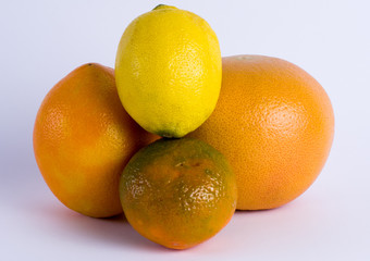 citrus fruits