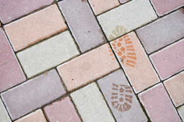 The tile borders on a lawn