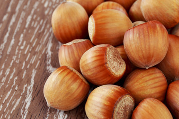 the handful of hazelnuts