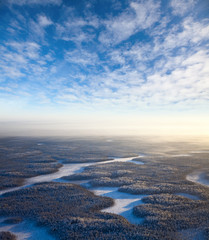 Top view forest river in a frosty day