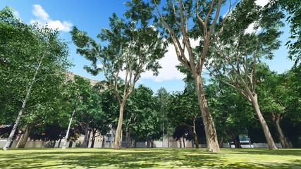 Green city park in sunny and beautiful summer day 3d rendering