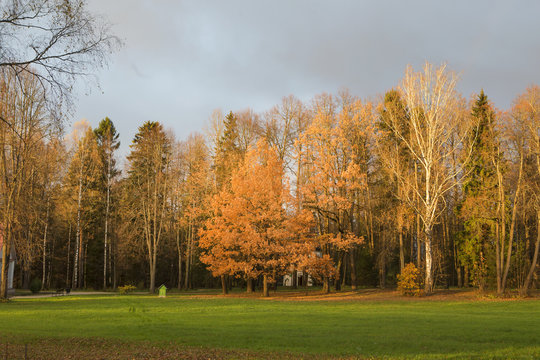 Outumn park