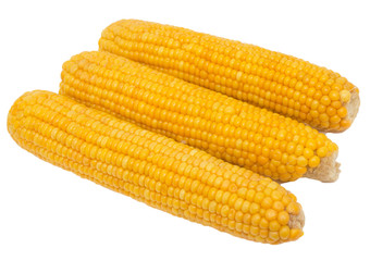 yellow boiled corn