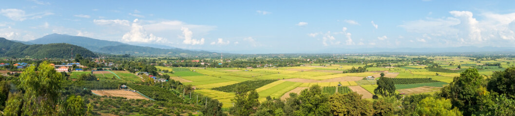 Fototapeta na wymiar Panoramic landscape of rice field at Fang countryside in Thailand