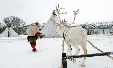 Fotobehang Reindeer breeder dressed in national Same clothes with a reinde © belov3097