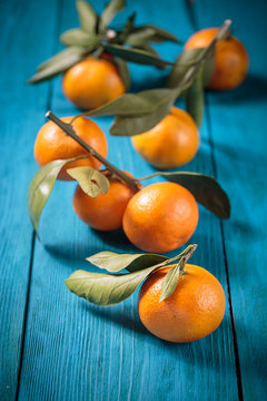 Fresh mandarin oranges fruit with leaves