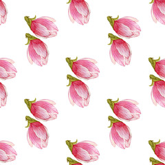 watercolor magnolia buds seamless pattern,hand drawn illustration on white background.season design for textile,print,wrapping paper.