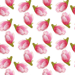 magnolia watercolor seamless pattern, spring hand drawn background.
