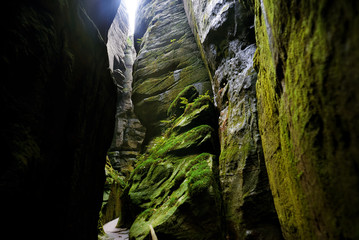 Fantastic view of the green canyon Siberia. Teplice-Adrspach Roc