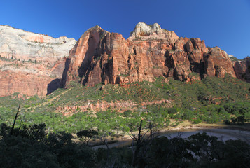 Fototapeta premium The Three Patriarchs in Zion National Park, USA 