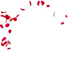 Red rose petals scattered on the floor in a semi-circle