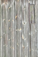 Barn Wood Old Wall Texture. Shabby Grey Wooden Vertical Backgrou