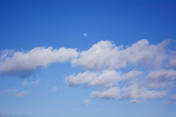Stratocumulus, Auckland.