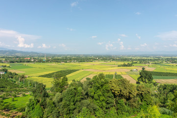 landscape of rice field at Fang countryside in Thailand