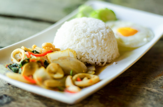 Thai food,Spicy stir fried squid with basil leave and cooked rice on white dish