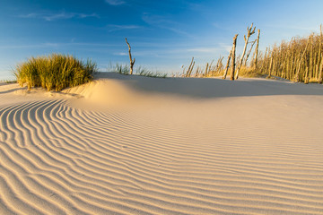 beautiful view of the coastal dunes - obrazy, fototapety, plakaty
