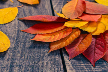 leaf background on a wooden table