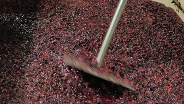 Work in the winery. Punch down cap