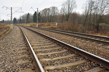 Fototapeta premium Railroad in the forest