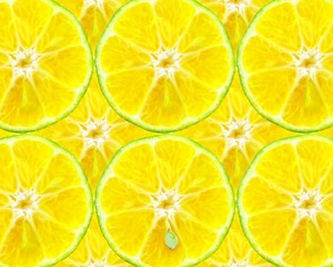 Texture of lemon slices. Fruity background