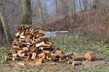Rural autumn landscape with firewood log