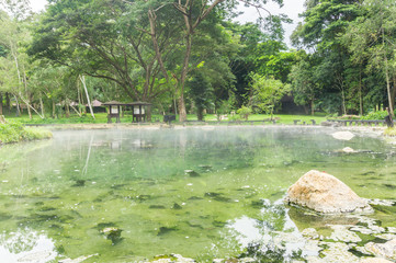 Fototapeta premium Peaceful natural hot springs in a forest
