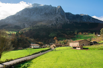 rural landscape at biscay countryside