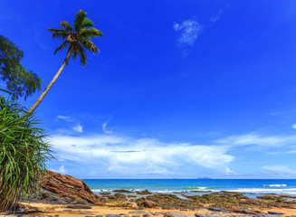 Fototapeta na wymiar Beautiful tropical beach with coconut palm tree and blue sky